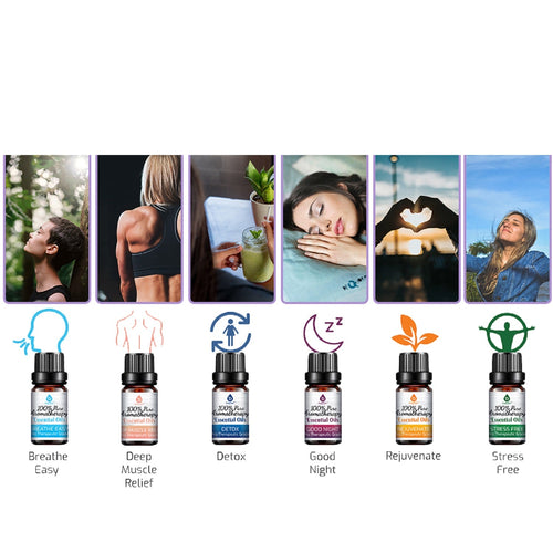 Aromatherapy Oil Blends 6-Pack