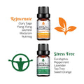 Aromatherapy Oil Blends 6-Pack