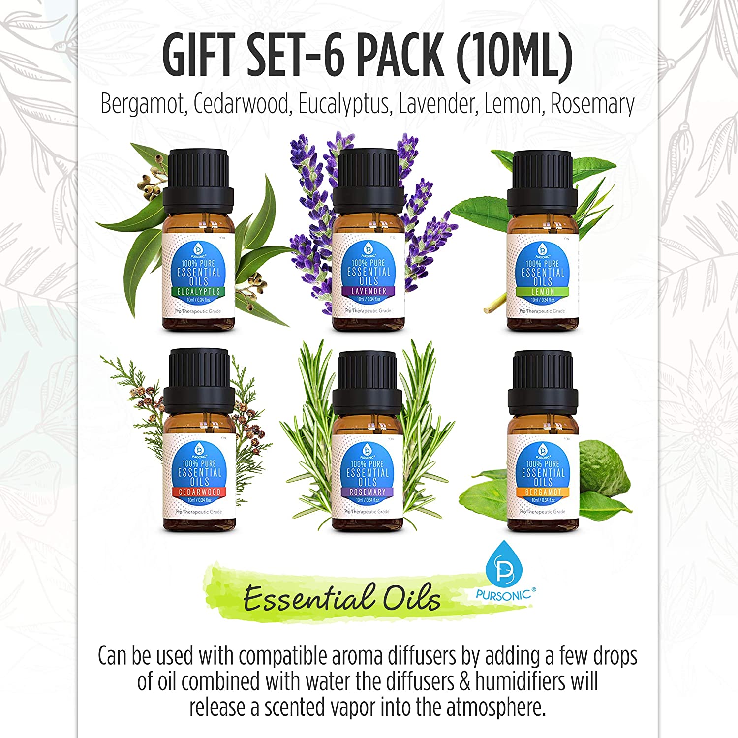 Pure Essential Oils 6-Pack