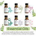 Aromatherapy Oils 14-Pack