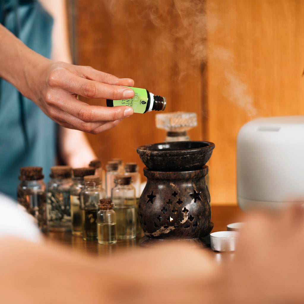 Aromatherapy Oils 6-Pack