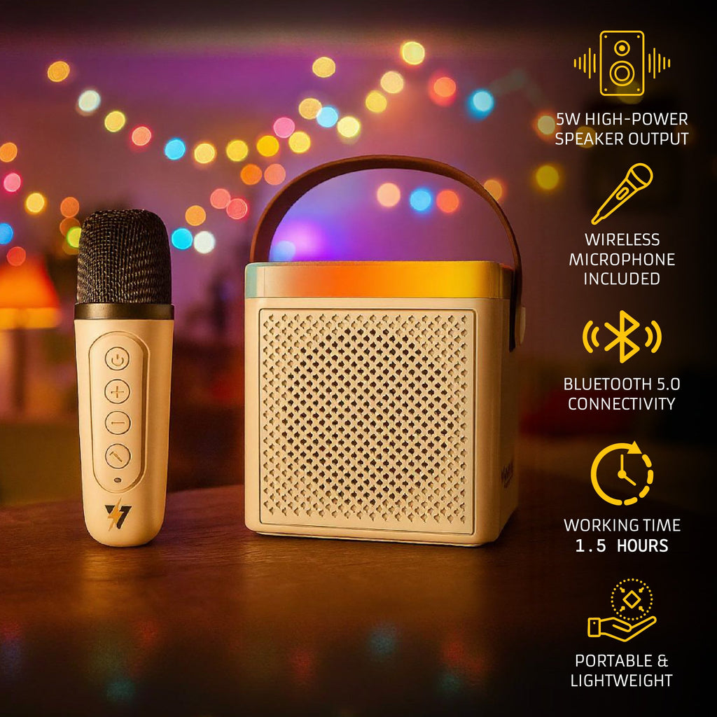 Portable Karaoke Set