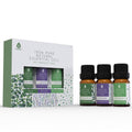Pure Essential Oils 3-Pack