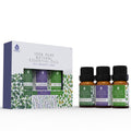 Essential Oils 3-Pack