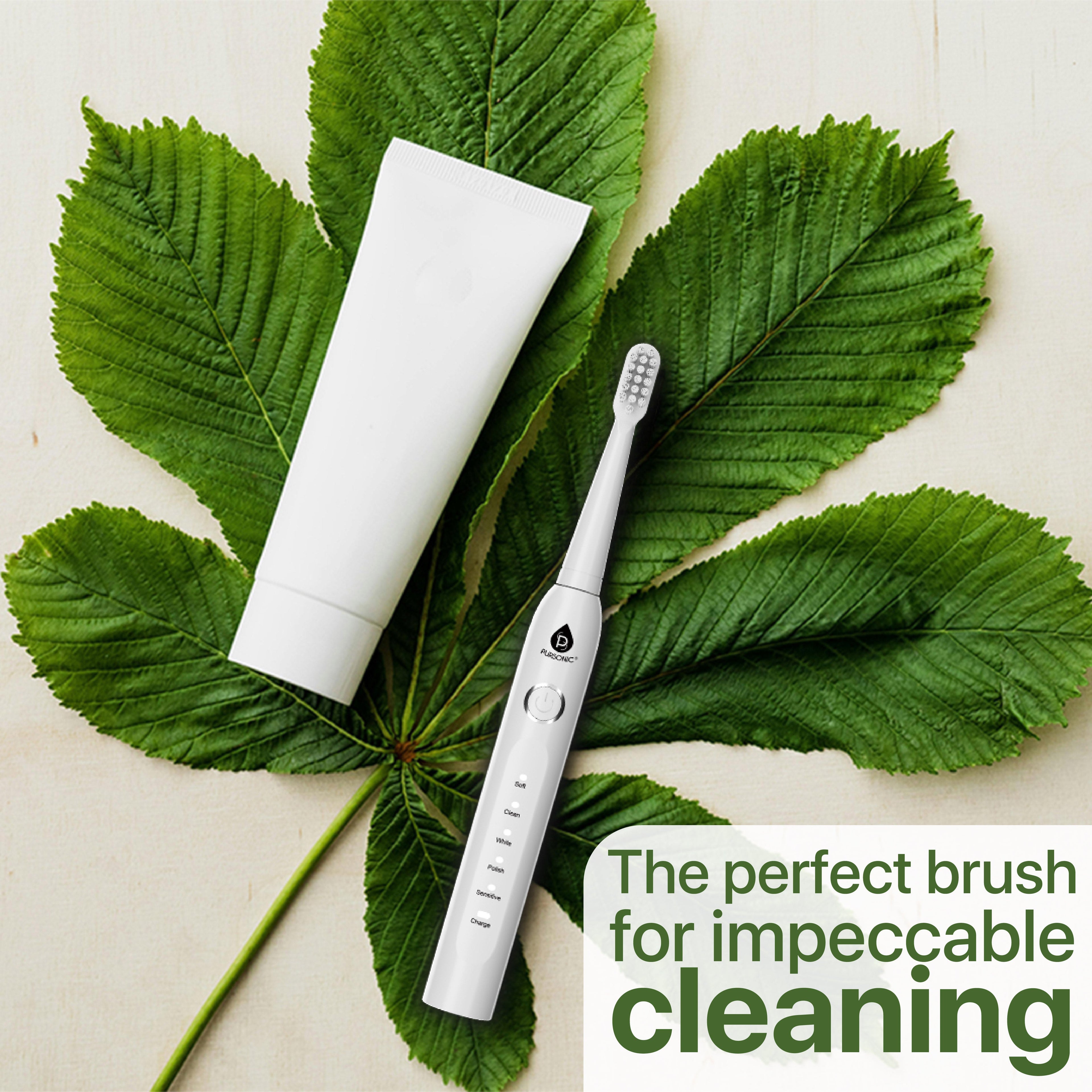 Electric Toothbrush 12-Pack