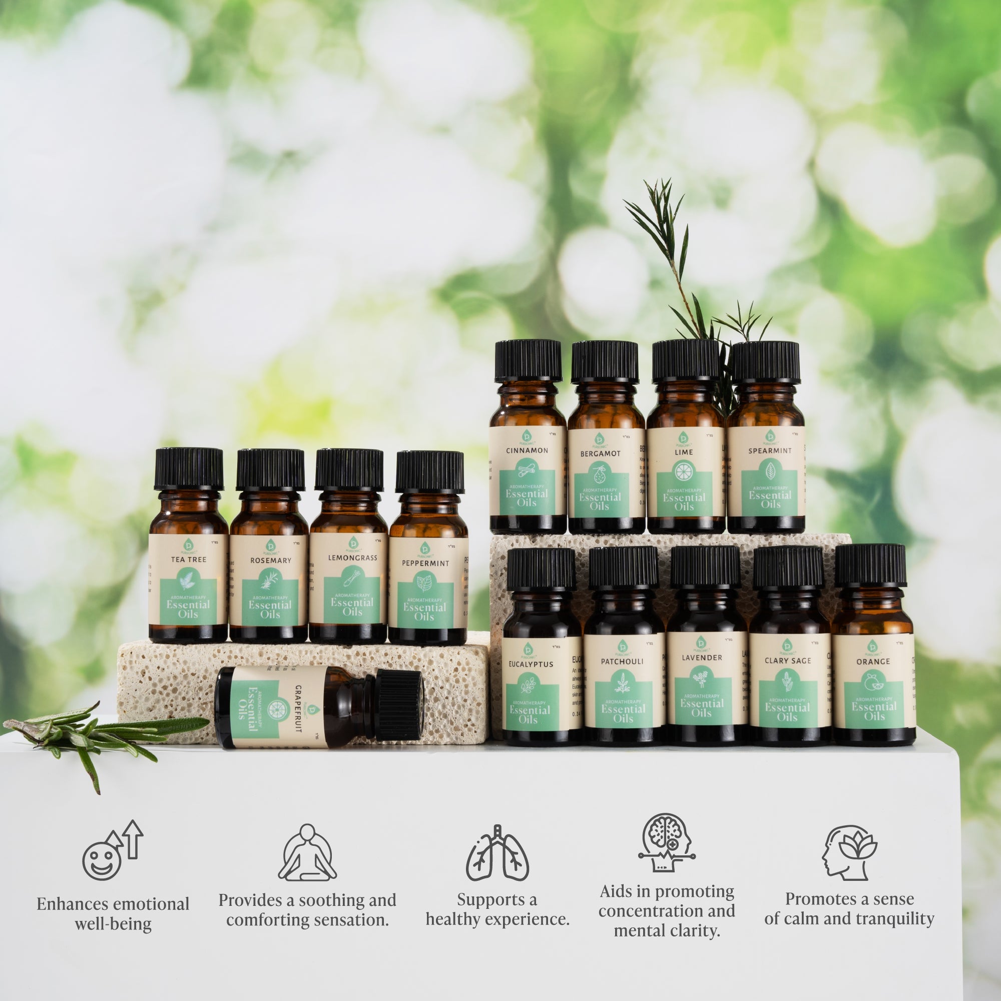 Christmas Oils Collection